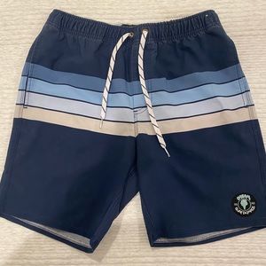 Dream Surfboard Board Shorts / Swim